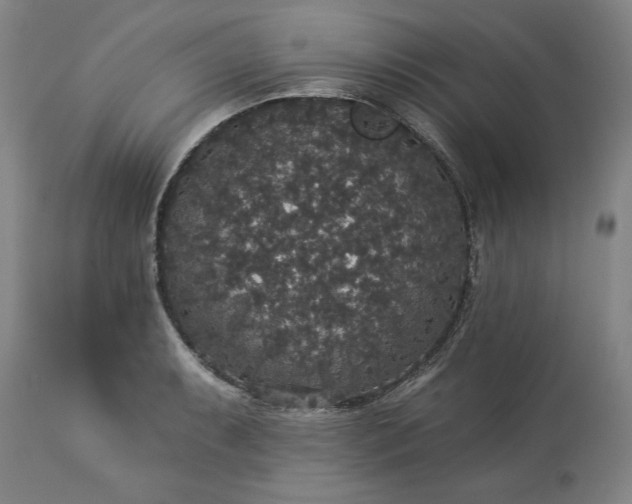 X0000113551087200910021525