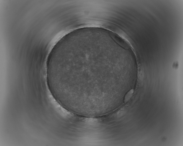 X0000113551088200910021525