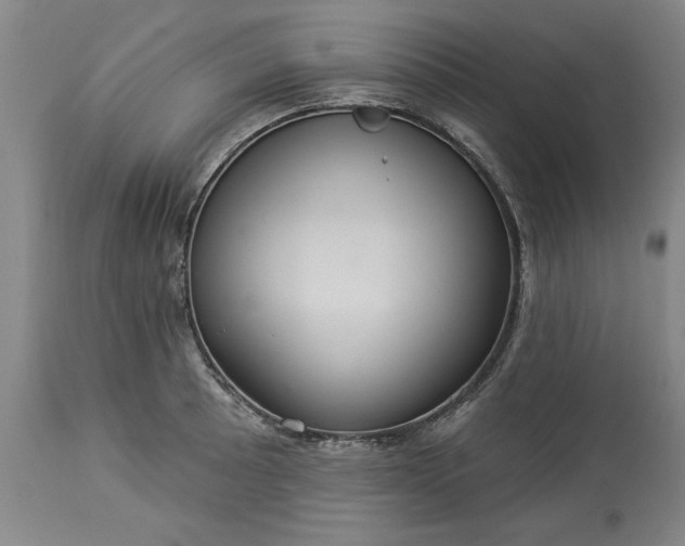 X0000113551089200910021525