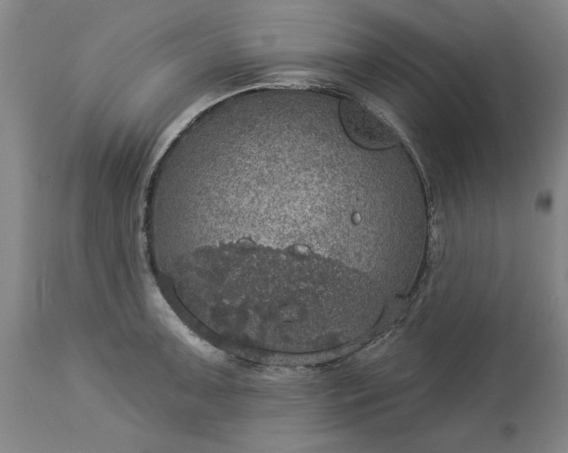 X0000113551091200910021525