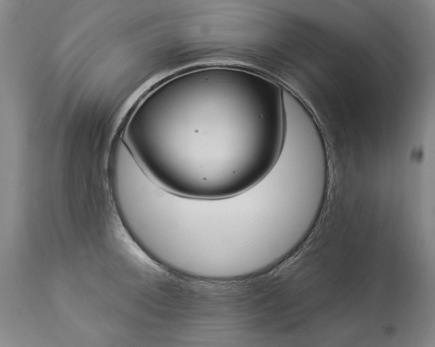 X0000113551092200910021525