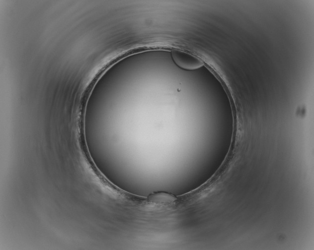 X0000113551093200910021525