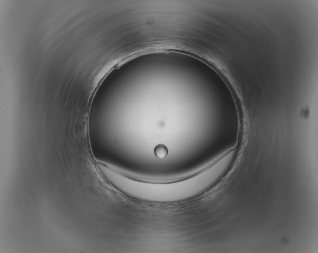 X0000113551097200910021525