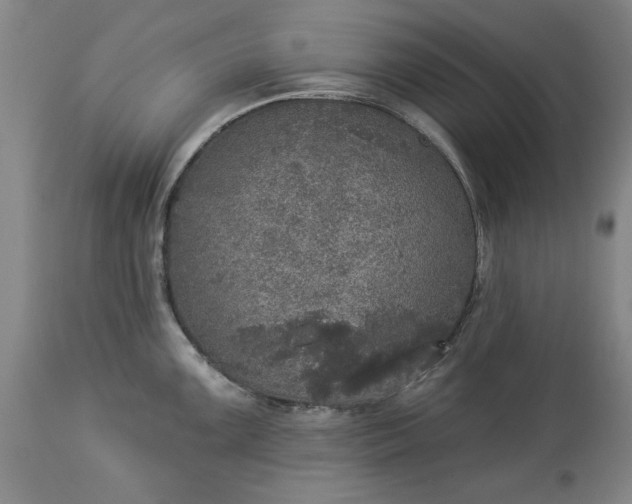 X0000113551099200910021524