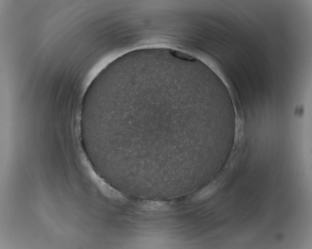 X0000113551101200910021524