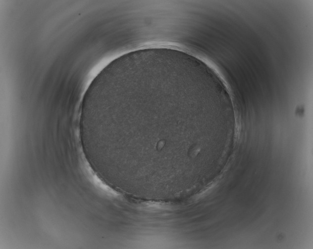 X0000113551102200910021524