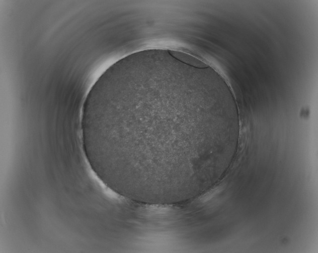 X0000113551103200910021524