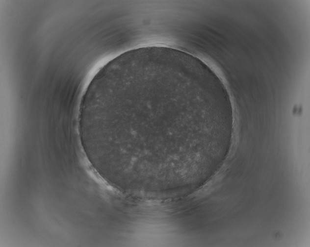 X0000113551104200910021524