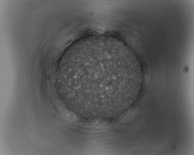 X0000113551105200910021524