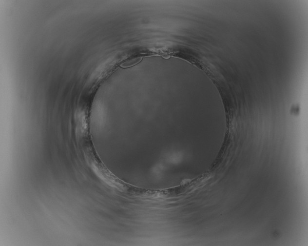 X0000113551106200910021524