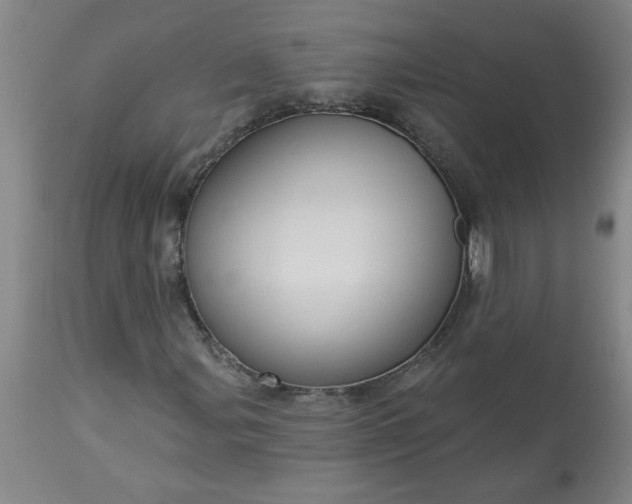 X0000113551107200910021524