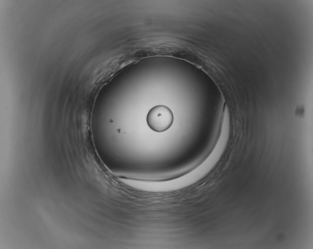 X0000113551108200910021524