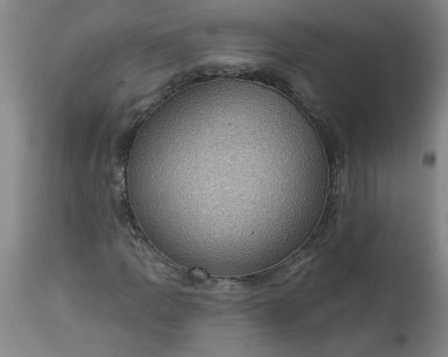 X0000113551109200910021524