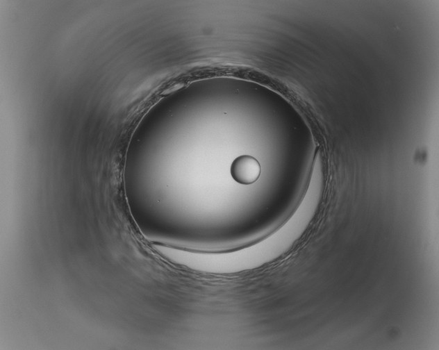 X0000113551110200910021524