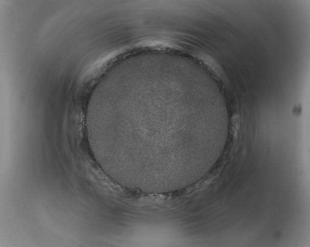 X0000113551111200910021524