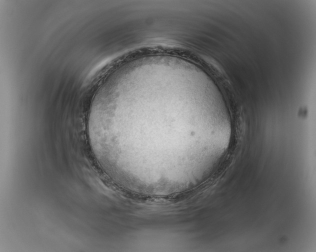 X0000113551112200910021524