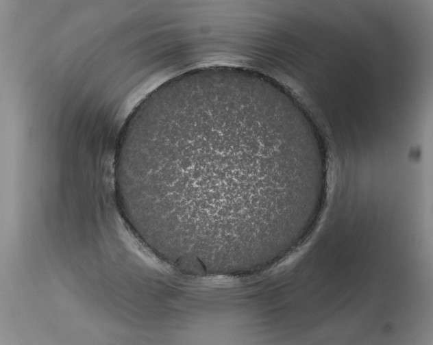 X0000113551113200910021524