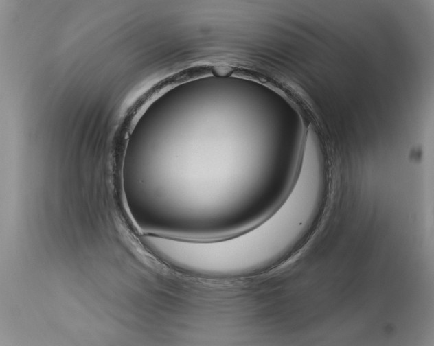 X0000113551114200910021524