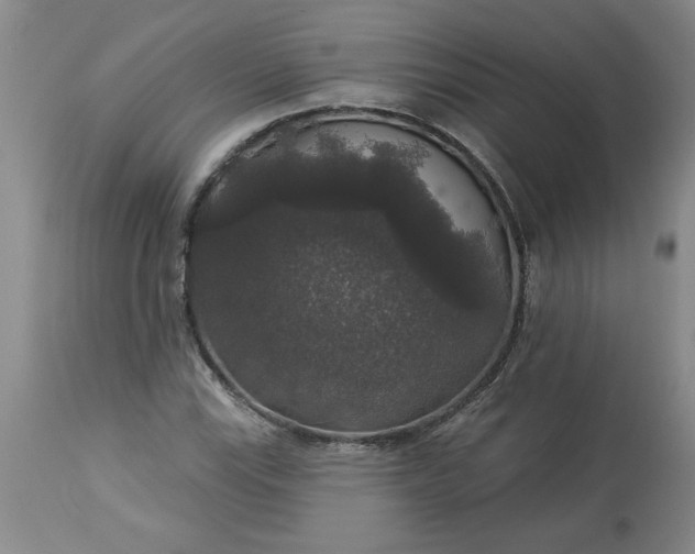 X0000113551115200910021524