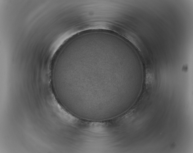 X0000113551116200910021524