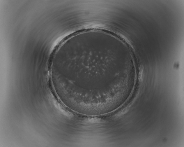 X0000113551117200910021524