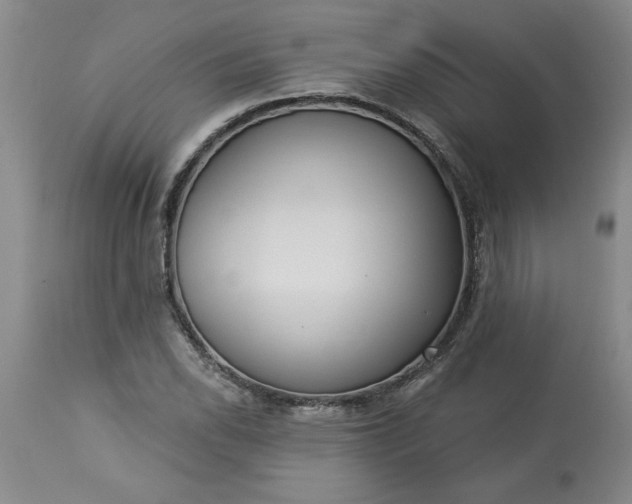 X0000113551118200910021524