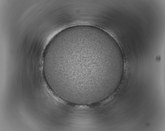 X0000113551119200910021524