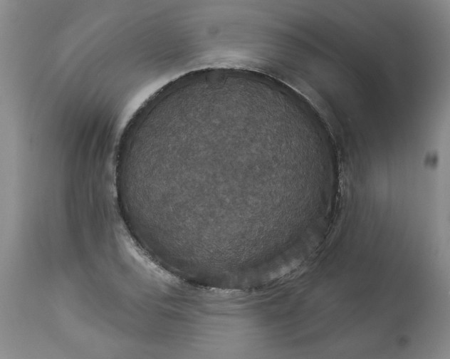 X0000113551120200910021524