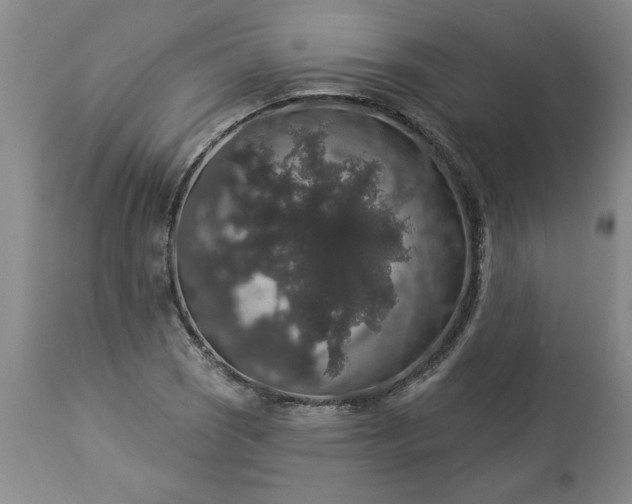 X0000113551121200910021524