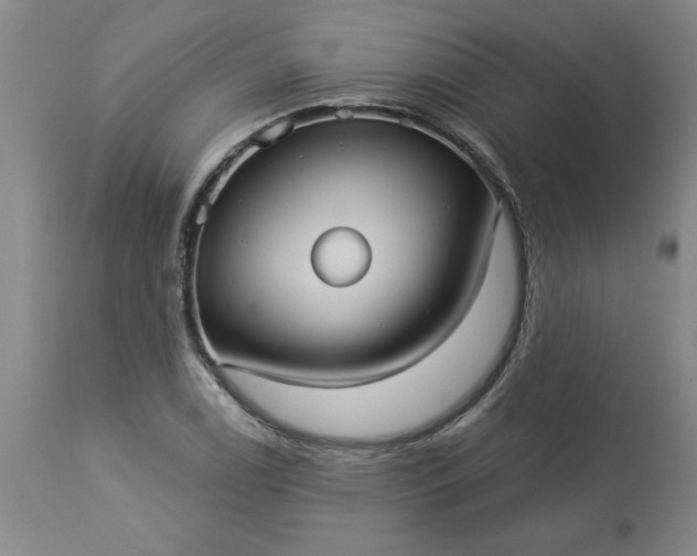 X0000113551122200910021524