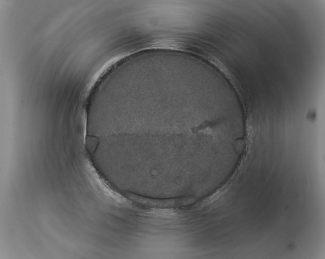 X0000113551123200910021524