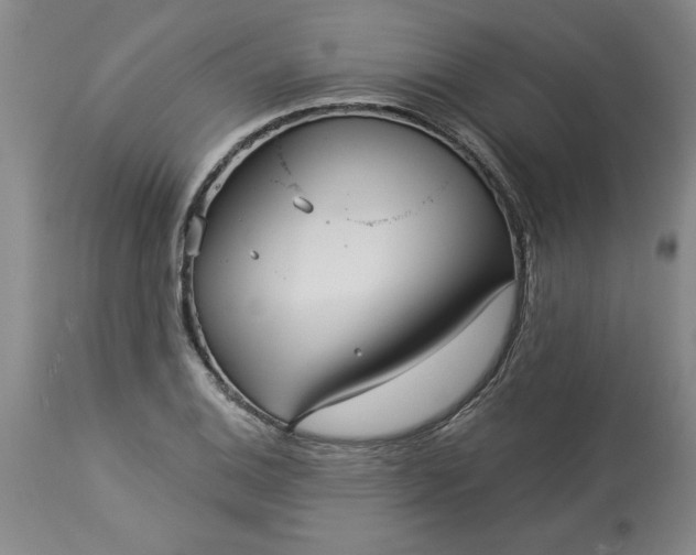 X0000113551124200910021524