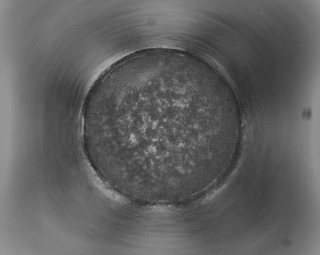 X0000113551125200910021524