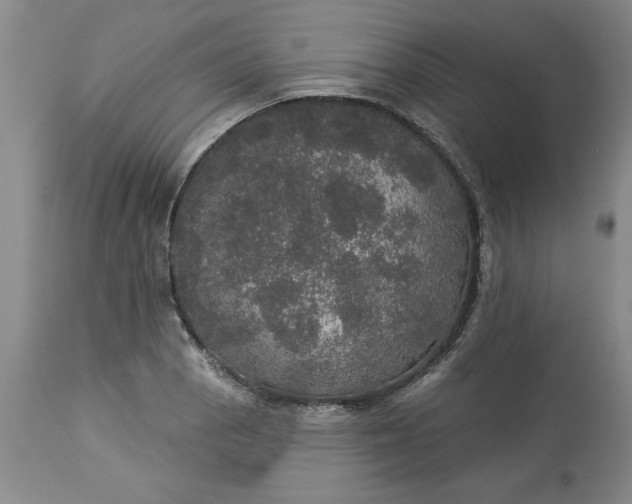 X0000113551129200910021524