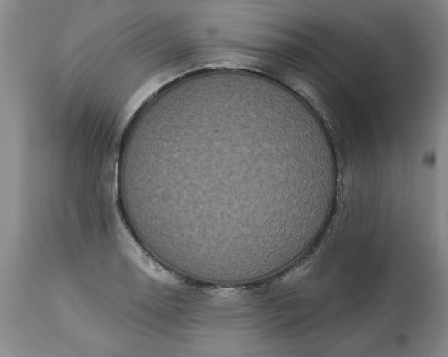 X0000113551130200910021524