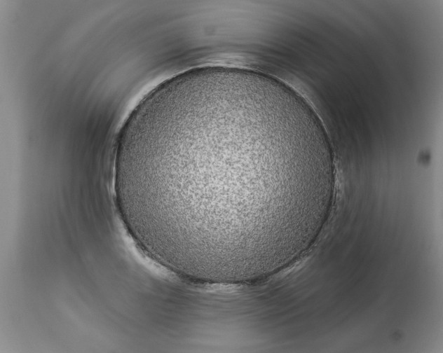 X0000113551131200910021524