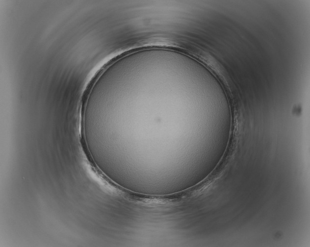 X0000113551132200910021524