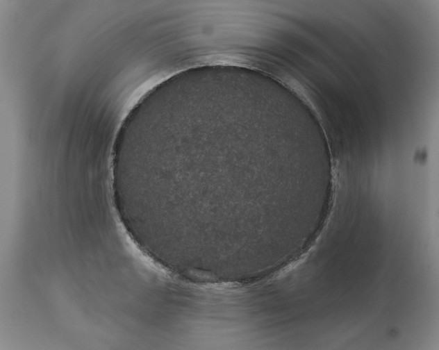 X0000113551133200910021524