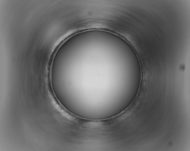 X0000113551134200910021524