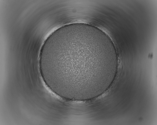 X0000113551135200910021524