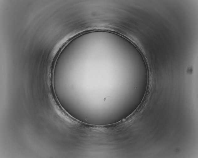 X0000113551136200910021524