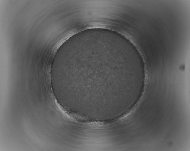 X0000113551137200910021524