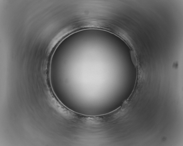 X0000113551138200910021524