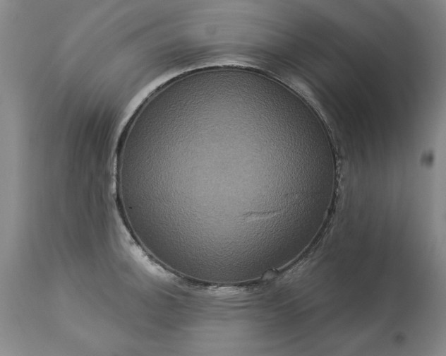 X0000113551140200910021524