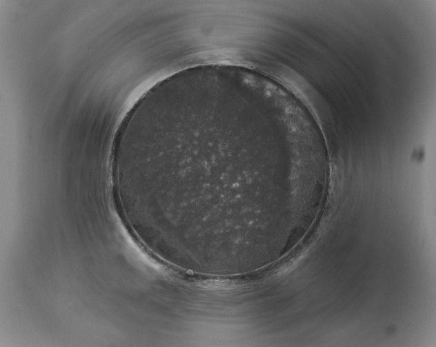 X0000113551141200910021524