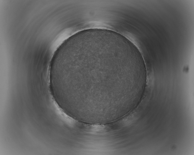 X0000113551144200910021524