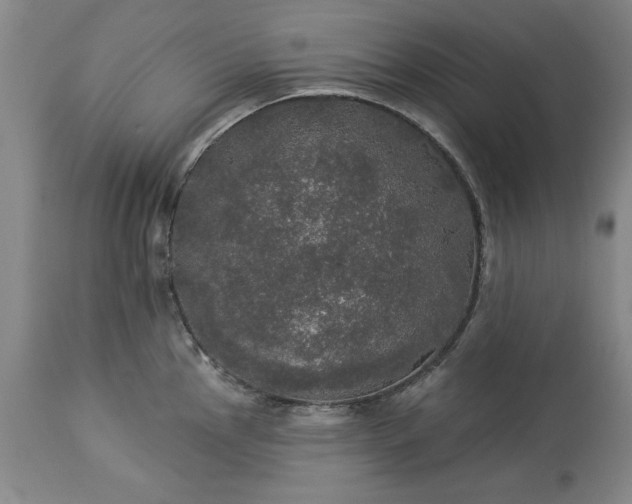 X0000113551145200910021524