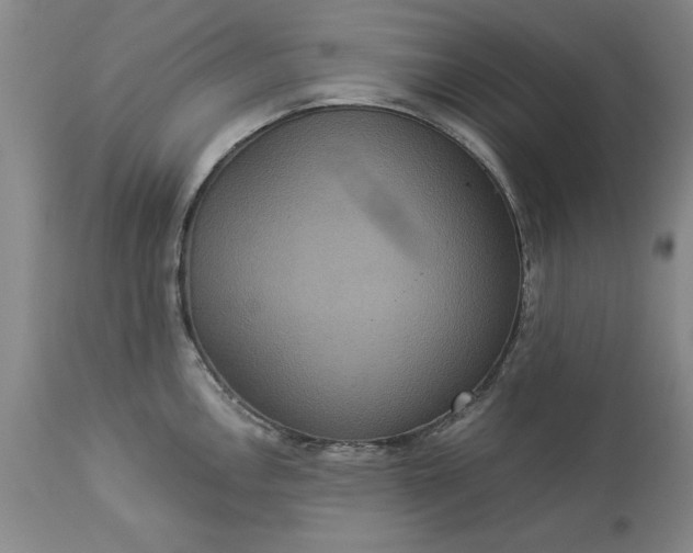 X0000113551146200910021524