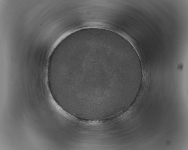 X0000113551147200910021524