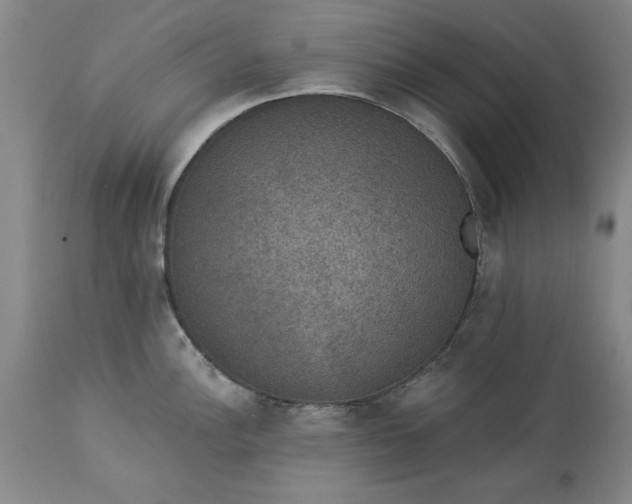 X0000113551148200910021524